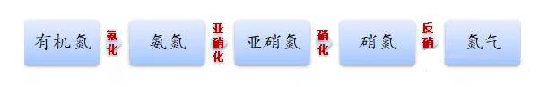 總氮超標(biāo)