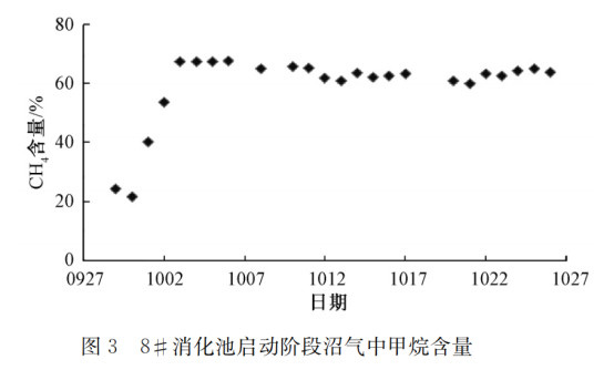 江蘇污泥干化處理