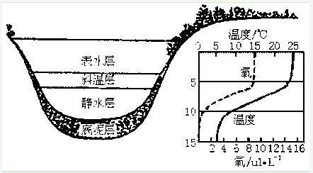 工業(yè)循環(huán)水處理